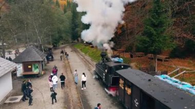 VISEU DE SUS, ROMANIA - 29 Ekim 2021: Mocanita buharlı treninin durduğu bir vadideki tren, yolcular, yemyeşil orman manzarası
