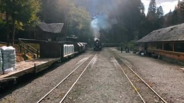 VISEU DE SUS, ROMANIA - 29 Ekim 2021: Mocanita buharlı treninin durduğu bir vadideki tren, yolcular, yemyeşil orman manzarası
