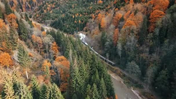 在罗马尼亚 空中无人飞机俯瞰着沿河的山谷中移动的蒸汽火车Mocanita 山丘上覆盖着泛黄的森林 — 图库视频影像