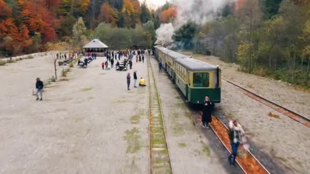 Viseu Sus Rumania Octubre 2021 Vista Aérea Del Tren Vapor — Vídeos de Stock