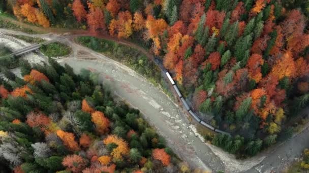 Vue aérienne par drone du train à vapeur en mouvement Mocanita dans une vallée le long d'une rivière, collines couvertes de forêt jaunâtre, Roumanie. Vue verticale