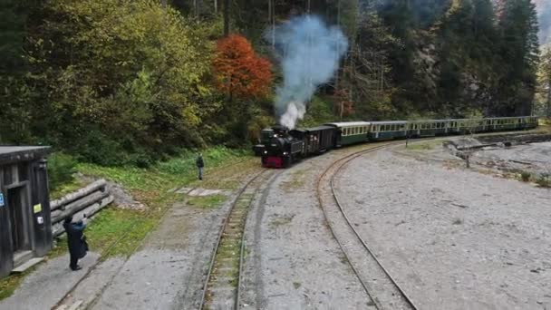 Viseu Sus Romania 2021年10月29日 停車中の蒸気機関車の空中ドローンビュー鉄道駅の谷にあるモカニタ 周りの緑豊かな森 — ストック動画