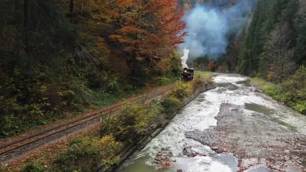 Viseu Sus Rumänien Oktober 2021 Drohnenaufnahme Des Fahrenden Dampfzuges Mocanita — Stockvideo