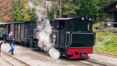 VISEU DE SUS, ROMANIA - 29 Ekim 2021: Bir tren istasyonundaki Mocanita buharlı treninin havadan görüntüsü, yolcular, yemyeşil orman