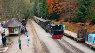 VISEU DE SUS, ROMANIA - 29 Ekim 2021: Mocanita buharlı treninin durduğu bir vadideki tren, yolcular, yemyeşil orman manzarası