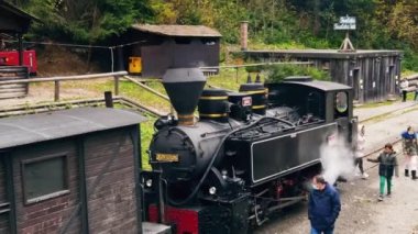 VISEU DE SUS, ROMANIA - 29 Ekim 2021: Bir tren istasyonundaki Mocanita buharlı treninin havadan görüntüsü, yolcular, yemyeşil orman