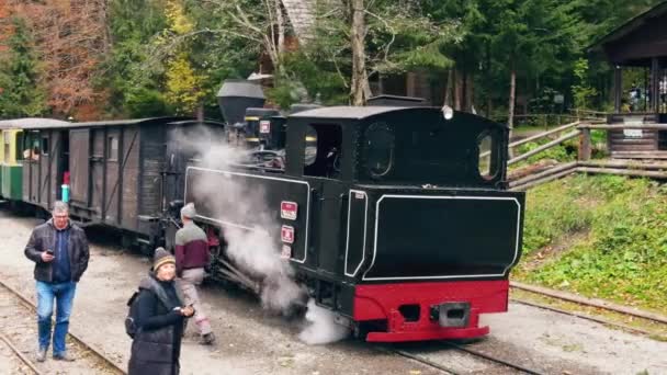 Viseu Sus Rumänien Oktober 2021 Drohnenaufnahme Des Angehaltenen Dampfzuges Mocanita — Stockvideo