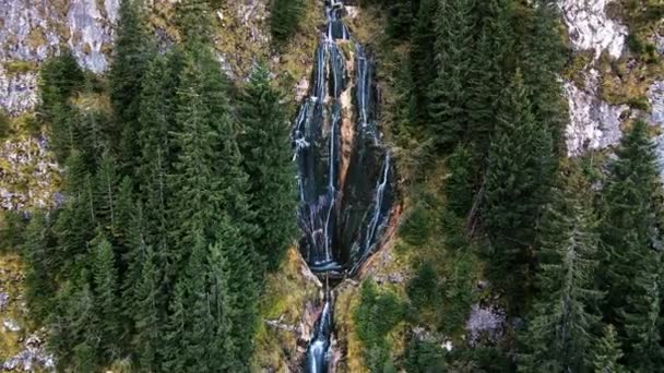 Uitzicht Een Waterval Gelegen Karpaten Weelderige Vegetatie Roemenië — Stockvideo