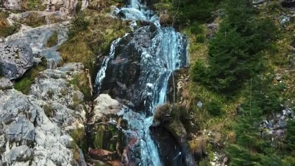 Vista Una Cascada Situada Las Montañas Los Cárpatos Vegetación Arroyo — Vídeos de Stock