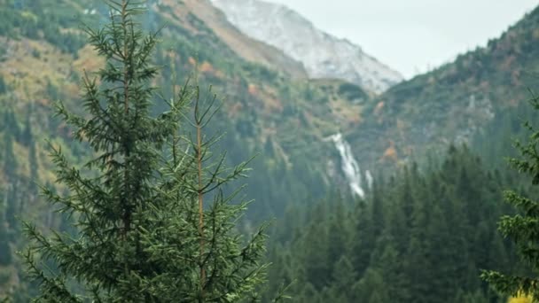 罗马尼亚的自然观 地处喀尔巴阡山脉远方的Balea瀑布 植被茂盛 — 图库视频影像