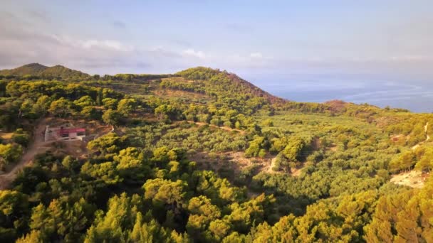 Αεροφωτογραφία Της Φύσης Της Ζακύνθου Ελλάδα Πολύ Πράσινο Χαμηλοί Λόφοι — Αρχείο Βίντεο