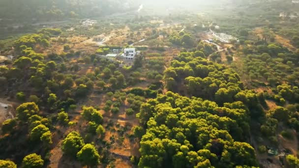 从空中俯瞰希腊Zakynthos的自然景观 许多绿地 很少有建筑物 — 图库视频影像