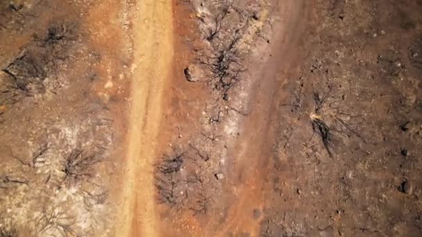 从空中俯瞰希腊火灾的后果 燃烧的植被 灰和煤 — 图库视频影像