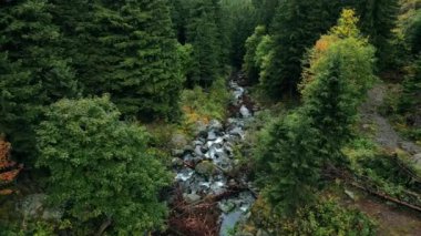 Romanya 'da doğanın insansız hava aracı görüntüsü. Karpat dağlarındaki Balea şelalesinde dere, yemyeşil bitki örtüsü, Transfagarasan yolu.