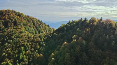 Romanya 'da doğanın insansız hava aracı görüntüsü. Karpat dağları, yemyeşil ormanlarla kaplı tepeler. Transfagarasan yolu
