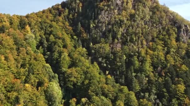 Αεροφωτογραφία Κηφήνας Της Φύσης Στη Ρουμανία Καρπάθια Βουνά Λόφοι Καλυμμένοι — Αρχείο Βίντεο