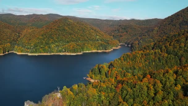 Повітряний Безпілотний Вид Природу Румунії Долина Карпатських Горах Озером Відарру — стокове відео