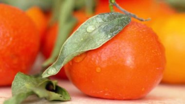 Portakal, mango, gül ağacı ve yeşil yapraklı bileşim, makroyu su damlacıklarıyla kapatın