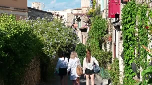 Street View Antibes France Narrow Street Lot Greenery Old Traditional — 图库视频影像