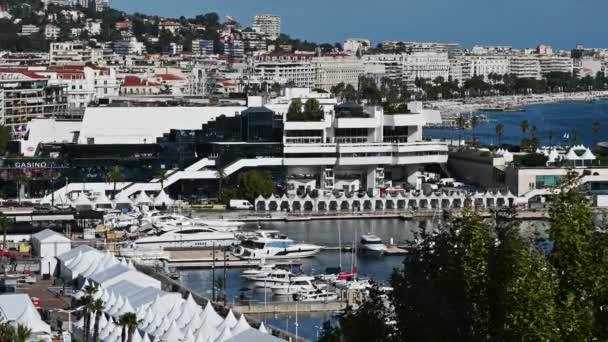 Uitzicht Zeehaven Van Cannes Frankrijk Aangemeerde Jachten Gebouwen Groen Middellandse — Stockvideo