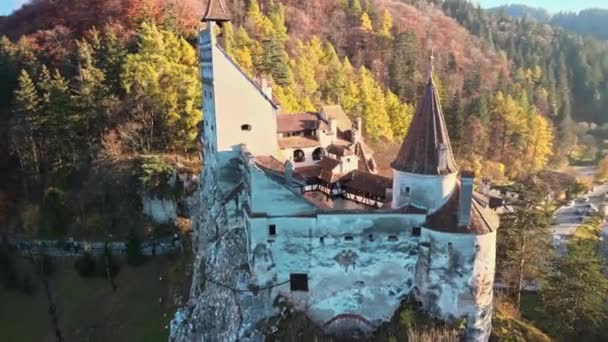 Vue Aérienne Par Drone Château Bran Roumanie Château Médiéval Dans — Video