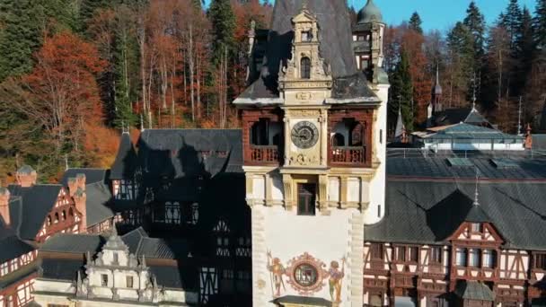 Vue Aérienne Par Drone Château Peles Roumanie Château Avec Jardins — Video