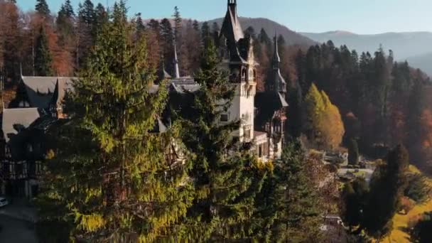 Aerial Drone View Peles Castle Romania Castle Gardens Carpathians Forest — 图库视频影像