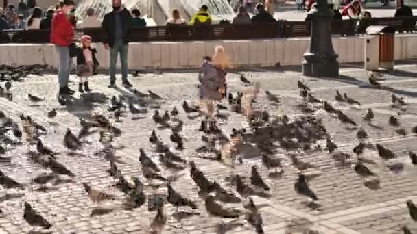 布拉索夫 罗马尼亚 2021年10月21日 参观议会广场 有很多人的老市中心 和鸽子玩耍的小孩 — 图库视频影像