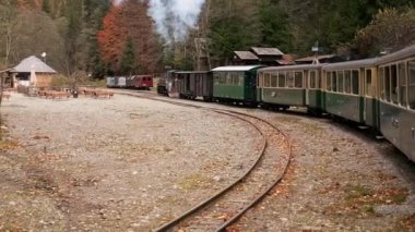 Romanya 'nın yemyeşil ormanlarındaki bir tren istasyonunda durdurulan Mocanita buharlı treninin görüntüsü. Yavaş çekim