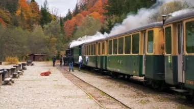 VISEU DE SUS, ROMANIA - 29 Ekim 2021: tren istasyonundaki Mocanita buharlı treninin görüntüsü, yolcular, yemyeşil orman