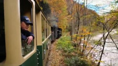 VISEU DE SUS, ROMANIA - 29 EKİM 2021: Yolcu buhar treninin camından dışarı eğilerek ormana doğru ilerledi