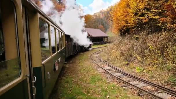 View Moving Steam Train Mocanita Yellowed Forest Romania — Stockvideo