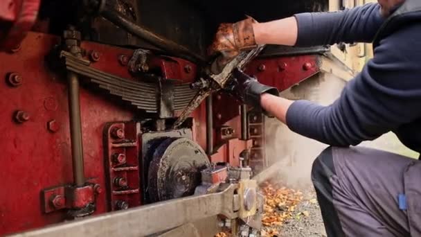 Mecánico Añadiendo Petróleo Los Mecanismos Del Tren Vapor Detenido Mocanita — Vídeos de Stock