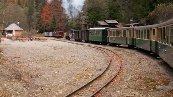 停車する蒸気機関車の眺め鉄道駅 緑豊かな森 ルーマニアのモカニタ スローモーション — ストック動画