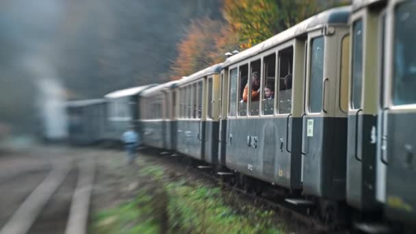 Viseu Sus Roménia Outubro 2021 Vista Trem Vapor Mocanita Vale — Vídeo de Stock