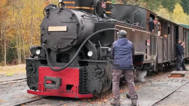Viseu Sus Romania 2021年10月29日 蒸気機関車の眺め鉄道駅 労働者 緑豊かな森の谷のモカニタ — ストック動画