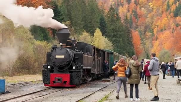 Viseu Sus Romania 2021年10月29日 蒸気機関車の眺め鉄道駅の谷 緑豊かな森の中のモカニタ — ストック動画