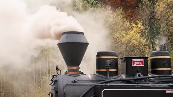 Viseu Sus Rumänien Oktober 2021 Blick Auf Den Abgewickelten Dampfzug — Stockvideo