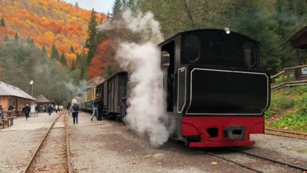 Viseu Sus Roumanie Octobre 2021 Vue Train Vapeur Arrêté Mocanita — Video