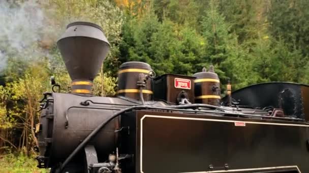 Viseu Sus Romania October 2021 View Wound Steam Train Mocanita — Stock Video