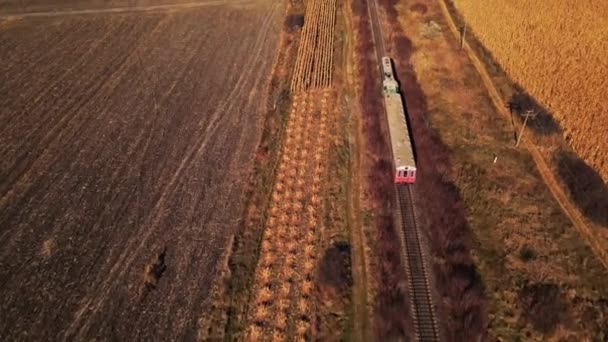 秋天在摩尔多瓦的一架移动中的火车的空中无人驾驶图像 黄绿的植被 缓慢运动 — 图库视频影像