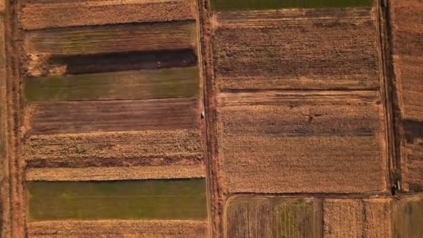 Letecký Pohled Jedoucí Vůz Širokých Polích Moldavska Podzim Žlutá Vegetace — Stock video