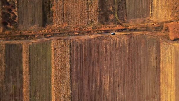 Vista Aérea Drone Carro Movimento Amplos Campos Moldávia Outono Vegetação — Vídeo de Stock