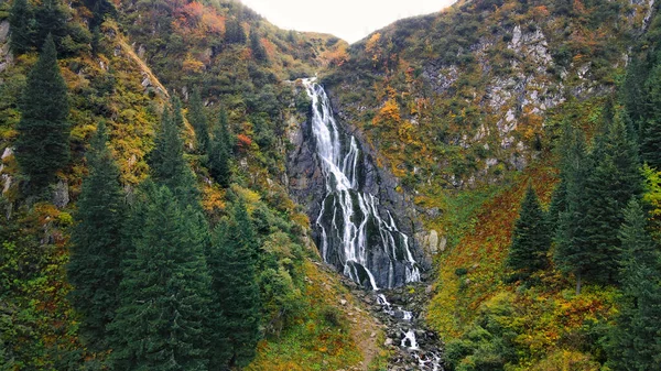 Drohnenaufnahme Der Natur Rumänien Balea Wasserfall Den Karpaten Üppige Vegetation — Stockfoto