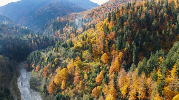 Vista Aérea Drones Natureza Roménia Montanhas Cárpatas Colinas Cobertas Com — Fotografia de Stock