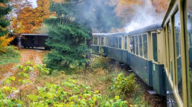 İçinden hareket eden buharlı tren Mocanita, yeşillik ve Romanya manzarası