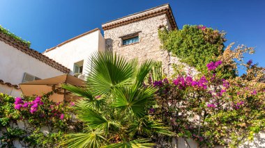 Antibes, Fransa 'da geleneksel tarzda yapılmış eski bir konut binası. Etrafında bir sürü yeşillik var.