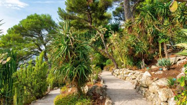 Saint-Jean-Cap-Ferrat, Fransa 'daki Villa Emiri de Rothschild' in egzotik bahçesi.