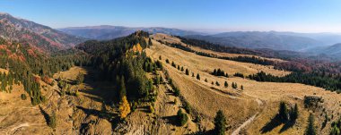 Romanya 'daki hava aracı doğaya panoramik açıdan bakıyor. Karpat dağları kısmen yemyeşil ormanlarla kaplı.
