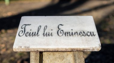 IASI, ROMANIA - Aralık 2021: Romanya 'nın İasi kentindeki Copou Park' ta Eminescu Linden Ağacı taşı tabelası